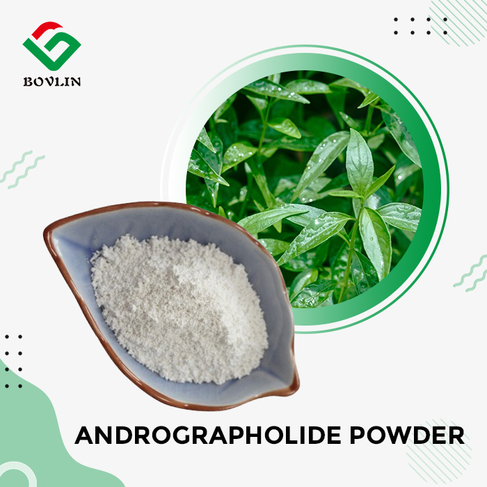 Andrographolide Powder Andrographolide Powder